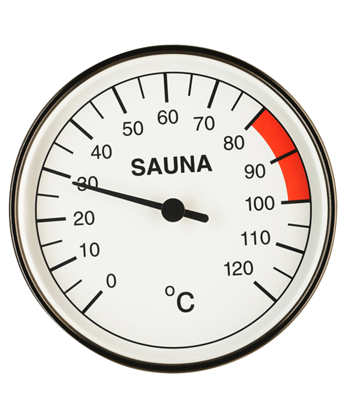 Thermometer 100 mm